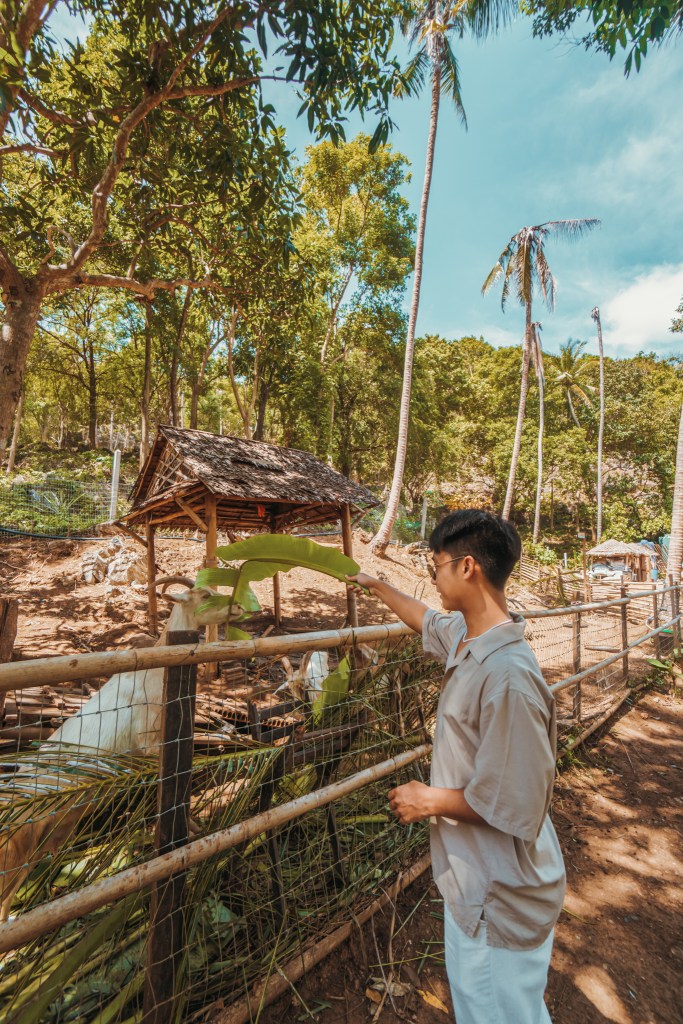 Conrad Koh Samui - Iris Farm Tour