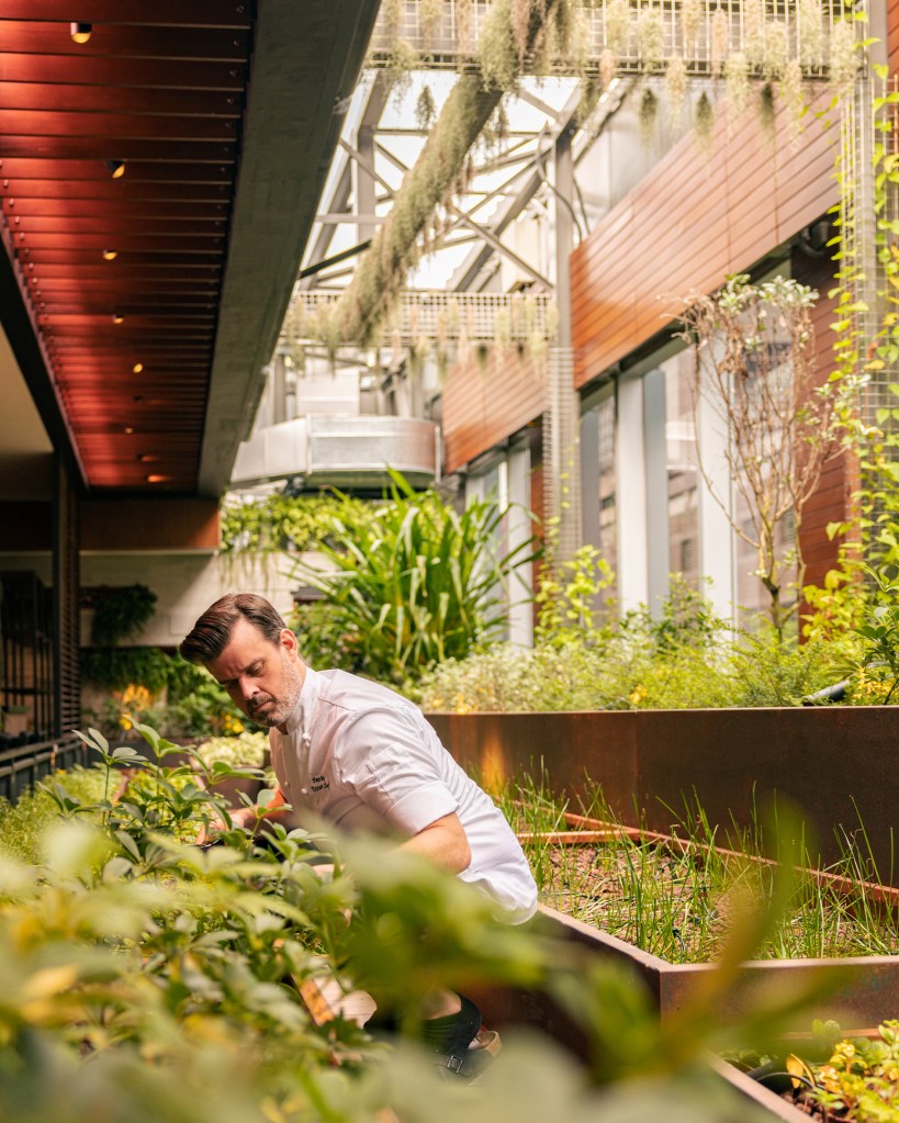 Hilton Singapore Orchard - Herb Garden at Osteria Mozza photo of person tending the garden