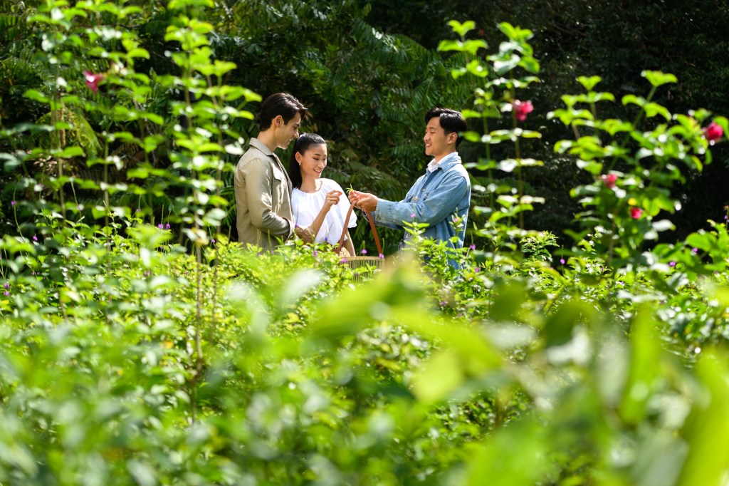 Conrad Singapore Orchard, Edible Garden Walk 1