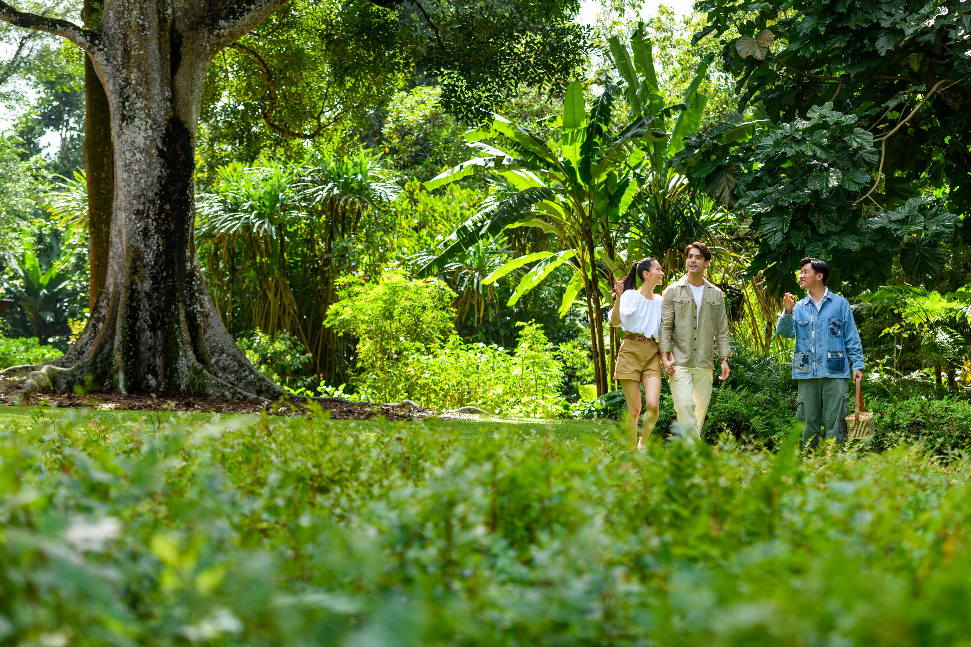 Conrad Singapore Orchard, Edible Garden Walk
