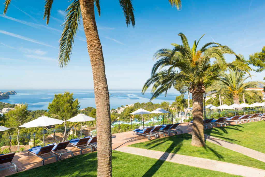 ocean beach palm trees Hilton Galatzo Mallorca Main Terrace Views