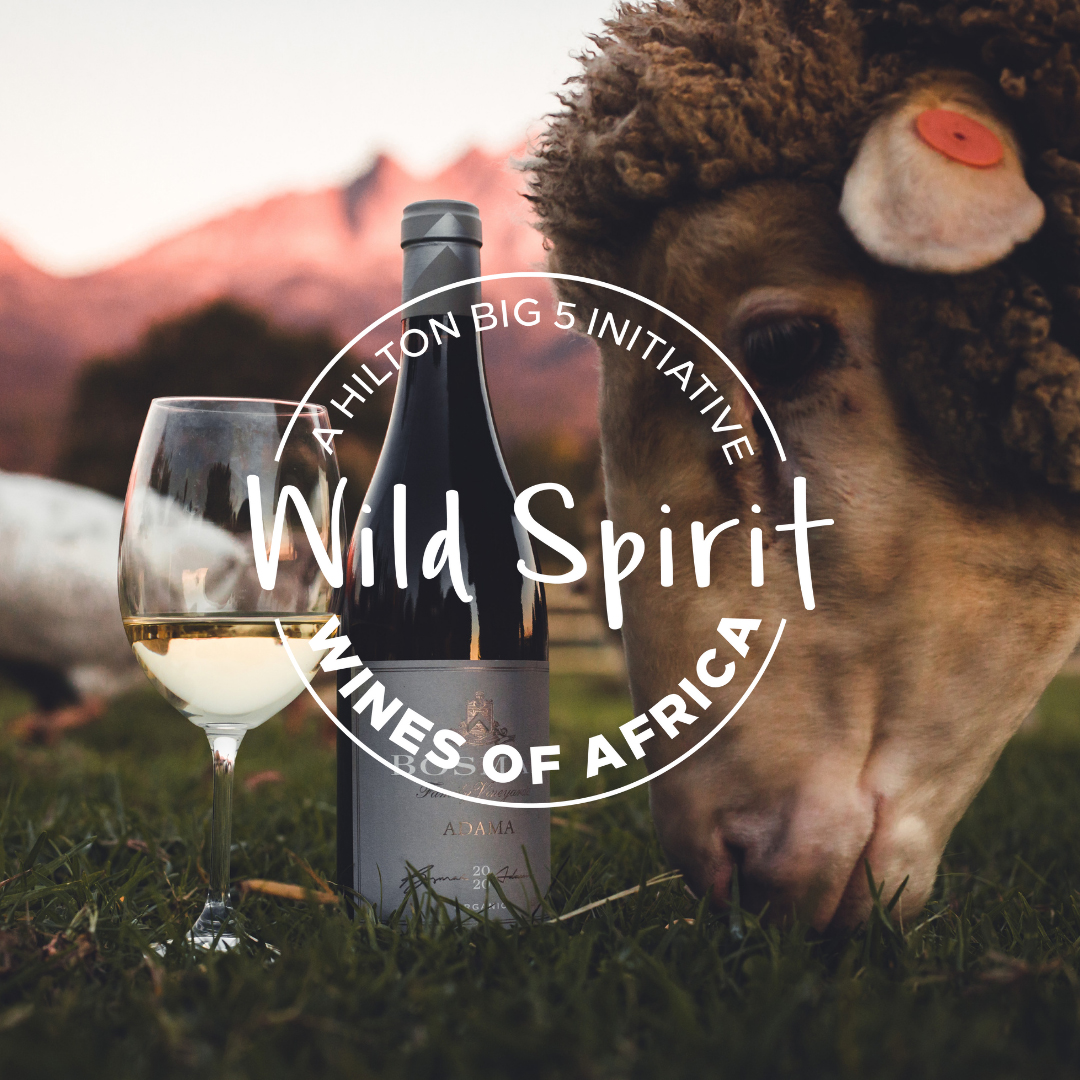 wine glass, wine bottle, animal, outdoors, A Hilton Big 5 Initiative - Wild Spirit Wines of Africa