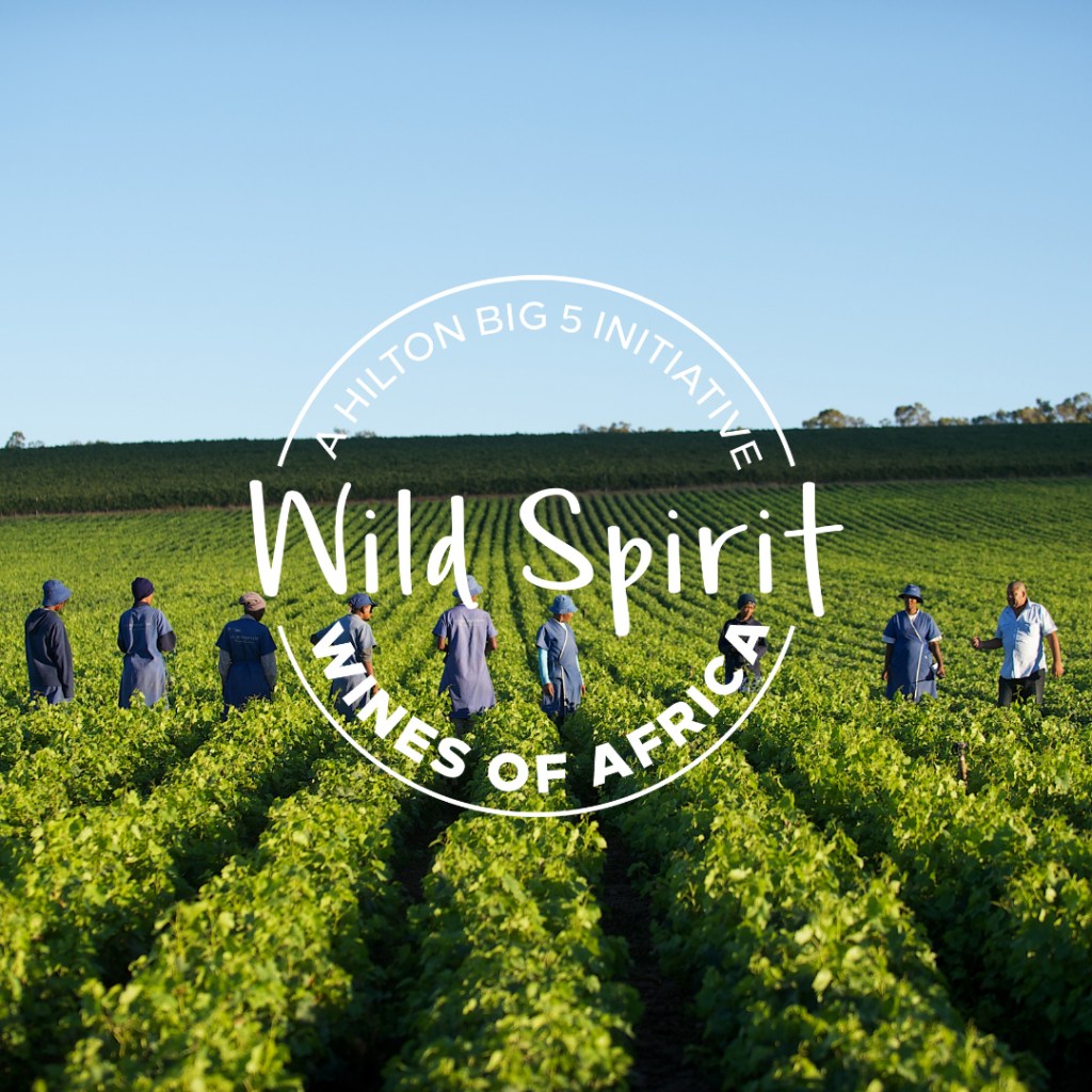 people, vineyard, A Hilton Big 5 Initiative - Wild Spirit Wines of Africa
