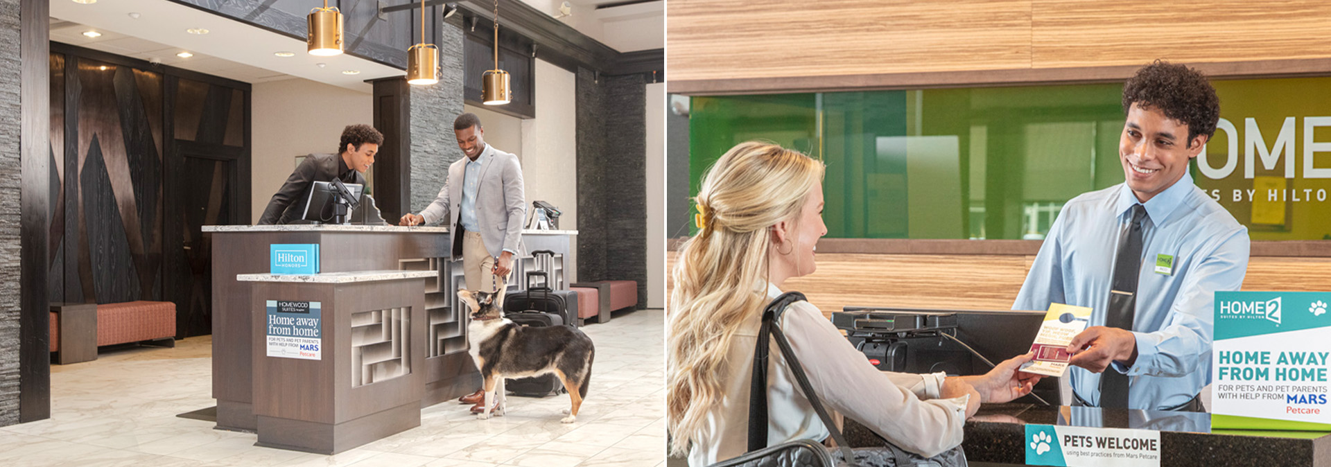 Hilton, Mars Petcare Pair For Pet‑Friendly Travel