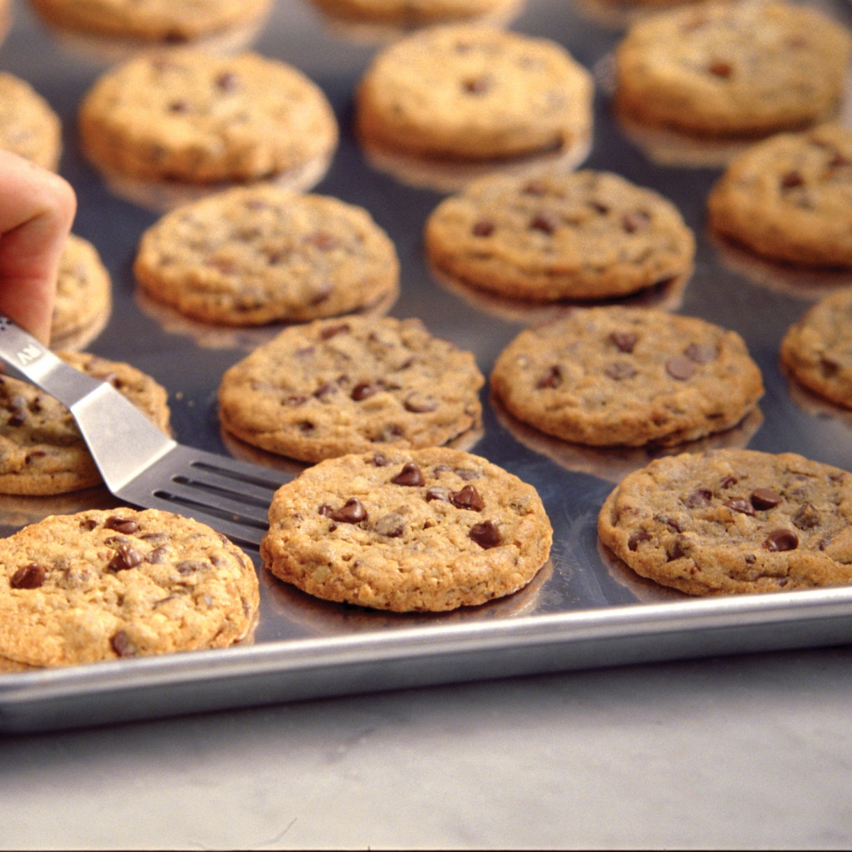 pan of fresh doubletree chocolate chip cookie