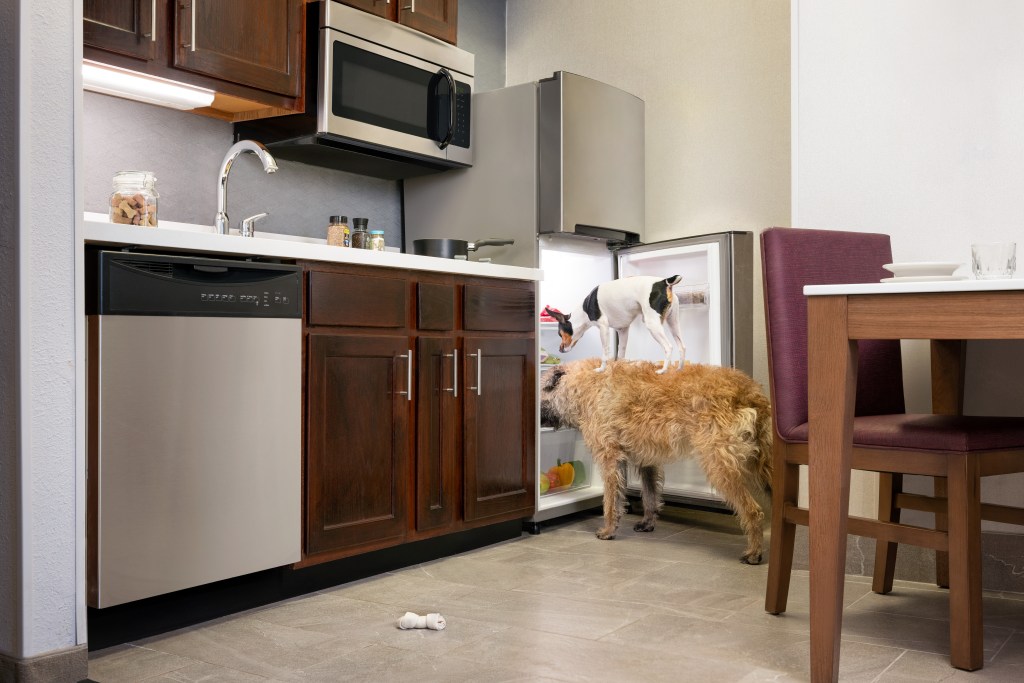 Hilton Expands Pet‑Friendly Offerings and Mars Petcare Partnership - Homewood Suites by Hilton - Kitchen