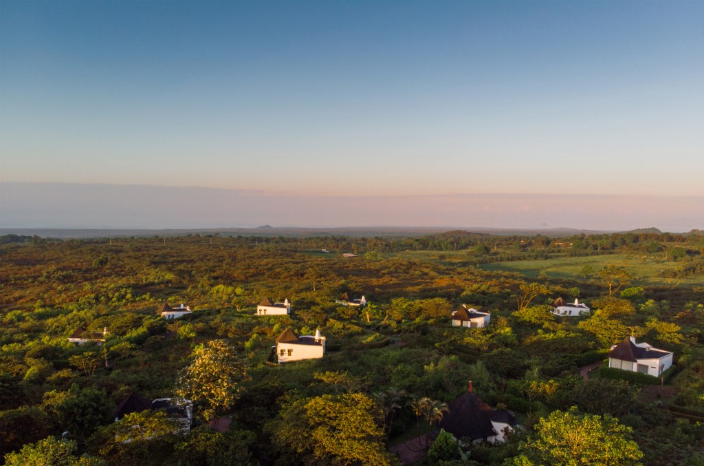 Royal Palm Galapagos, Curio Collection by Hilton Estate View