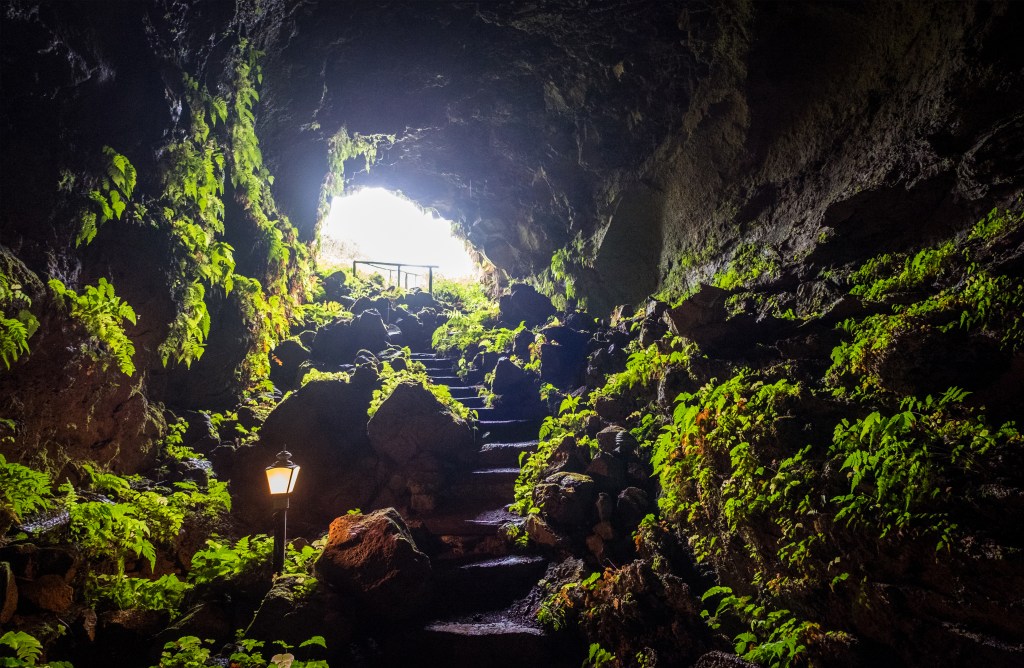 lava tunnel galapagos island stairs nature