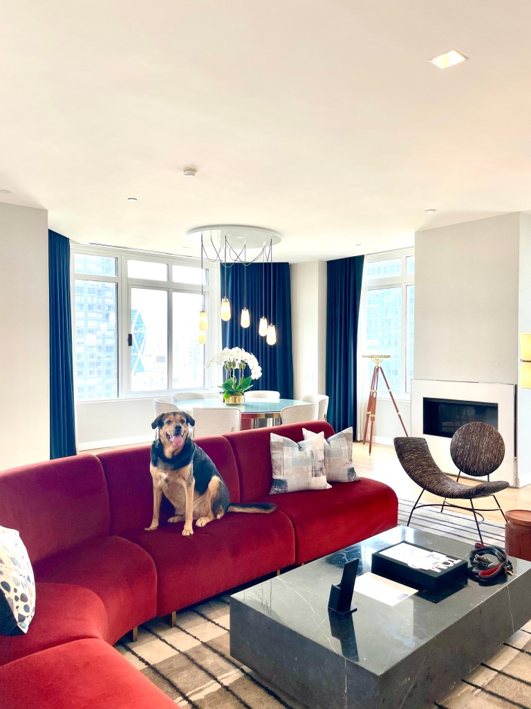 dog loki conrad hilton new york midtown penthouse
