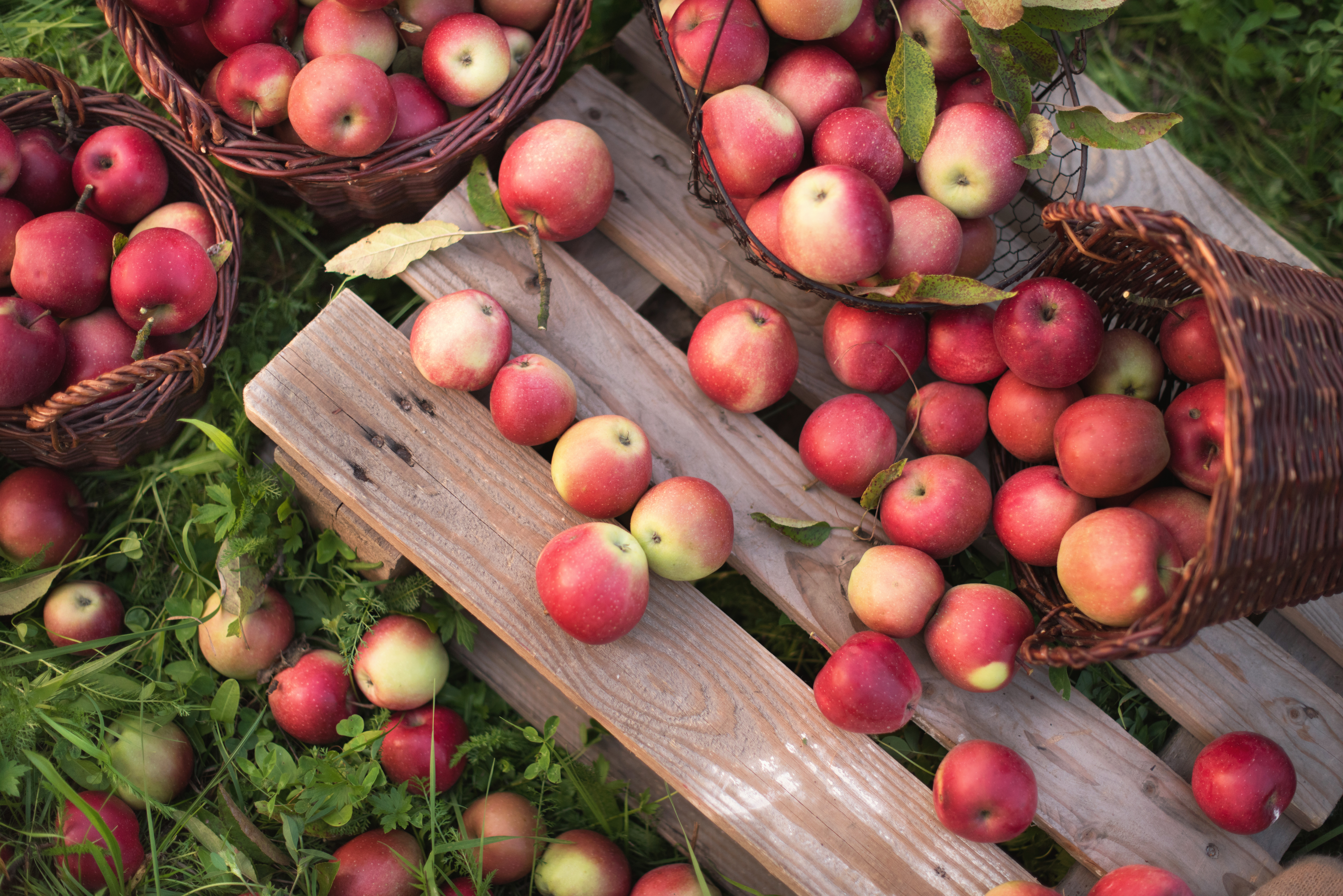 red apples in baskets