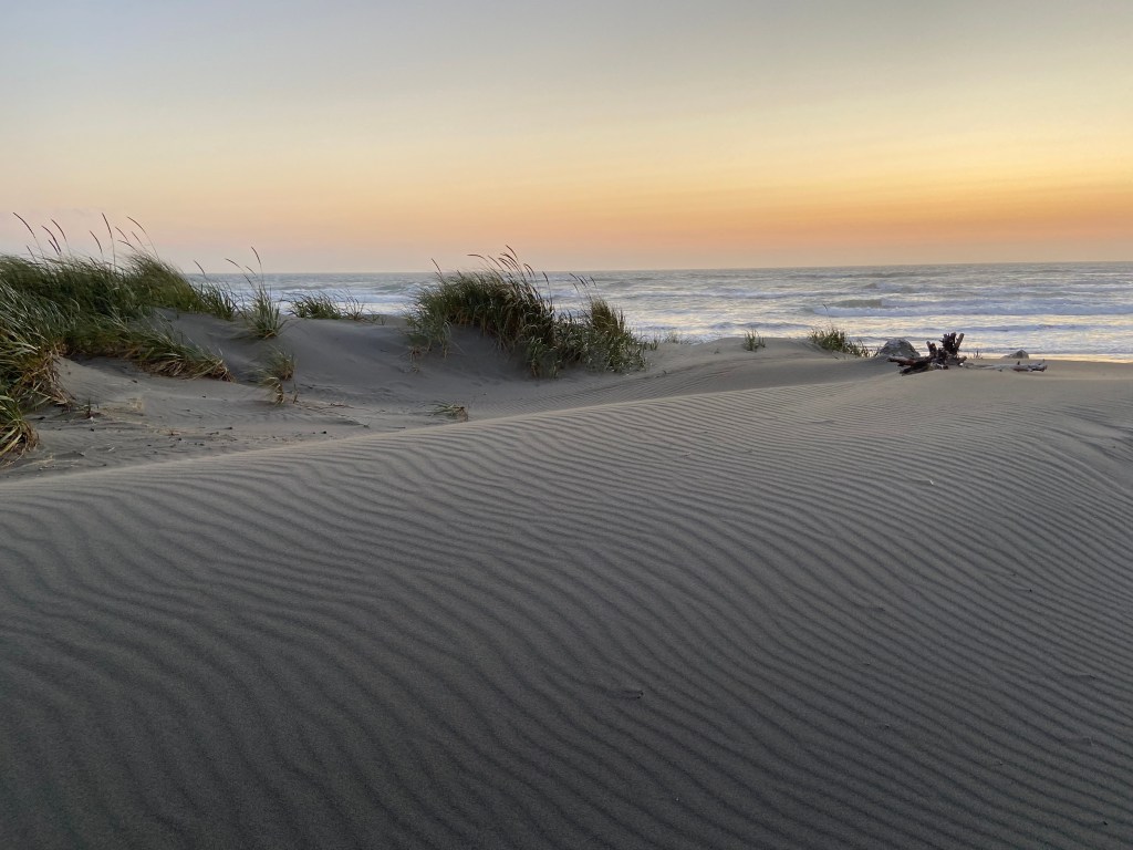 Beach Picture In Arcata California