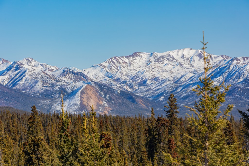 Afternoon Landscape In Denali National Park And Preserve At Fairbanks