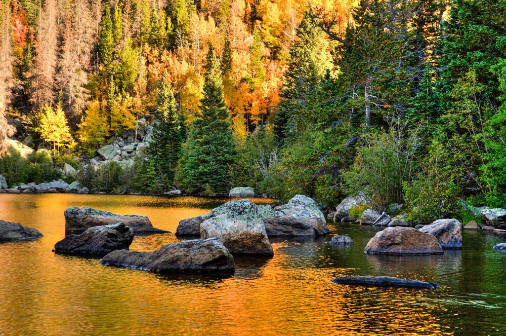 Aspen trees, lake, fall foliage, Rocky Mountain National Park, Colorado leaf peeping season