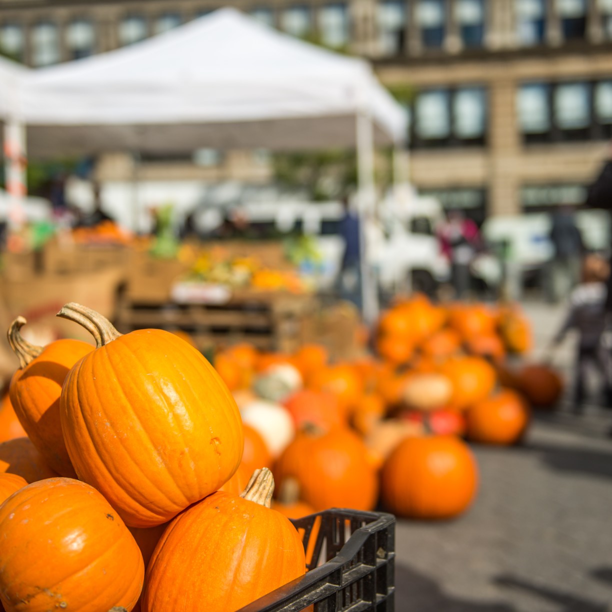 pumpkins at a market
