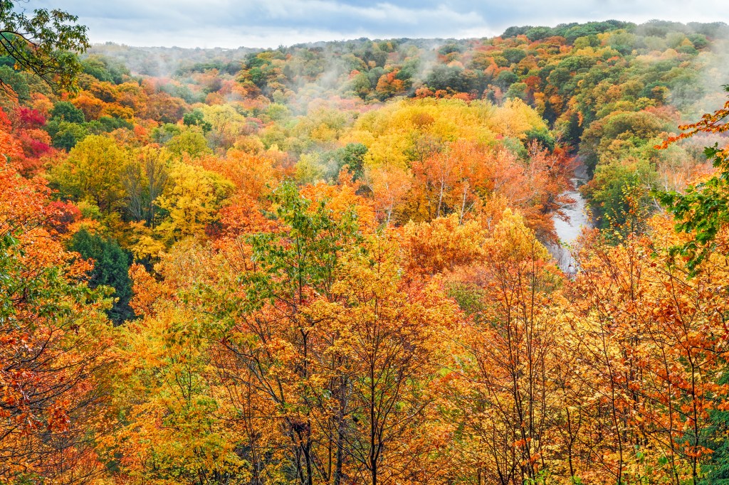 fall foliage, overlook, Cuyahoga Valley National Park, Ohio leaf peeping season