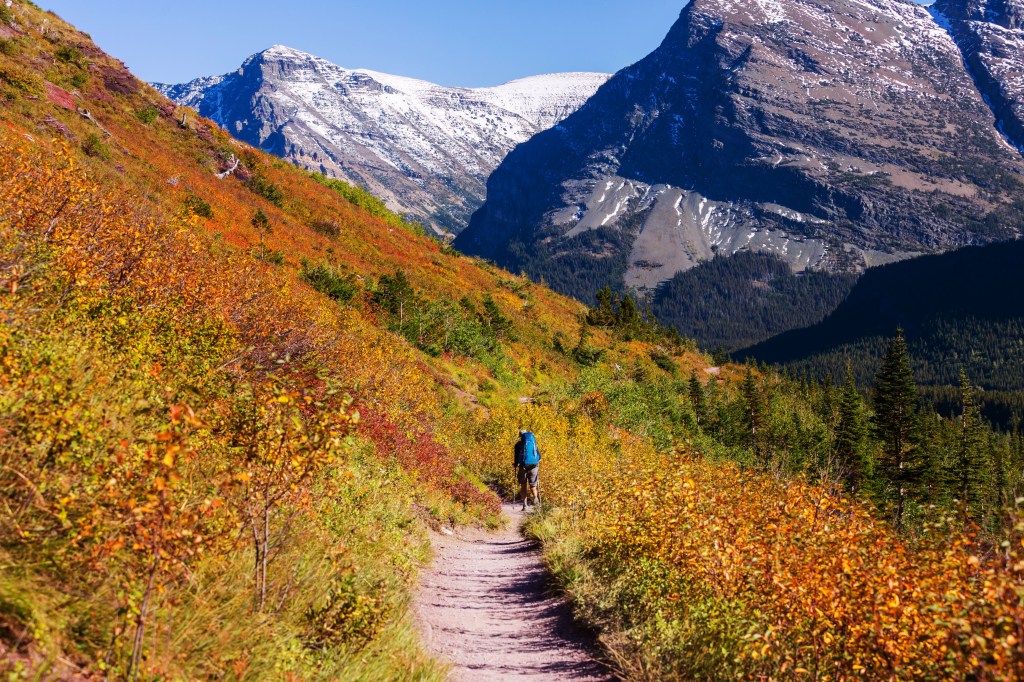 Autumn view, Glacier National Park, Montana, United States leaf peeping season