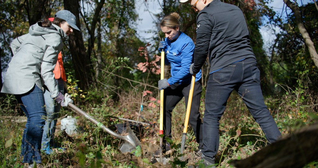 Volunteers from Hilton’s corporate headquarters in McLean, Virginia partnered with Plant NOVA Natives and the Fairfax County Park Association to plant trees and remove invasive plant species from a nearby park.