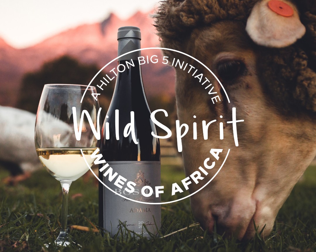wine glass, wine bottle, animal, outdoors, A Hilton Big 5 Initiative - Wild Spirit Wines of Africa