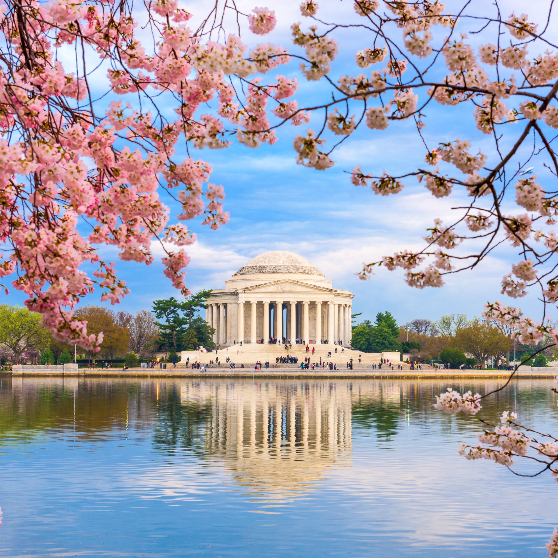 Washington Dc At The Tidal Basin And Jefferson Memorial During cherry blossom festival 2023 hotels