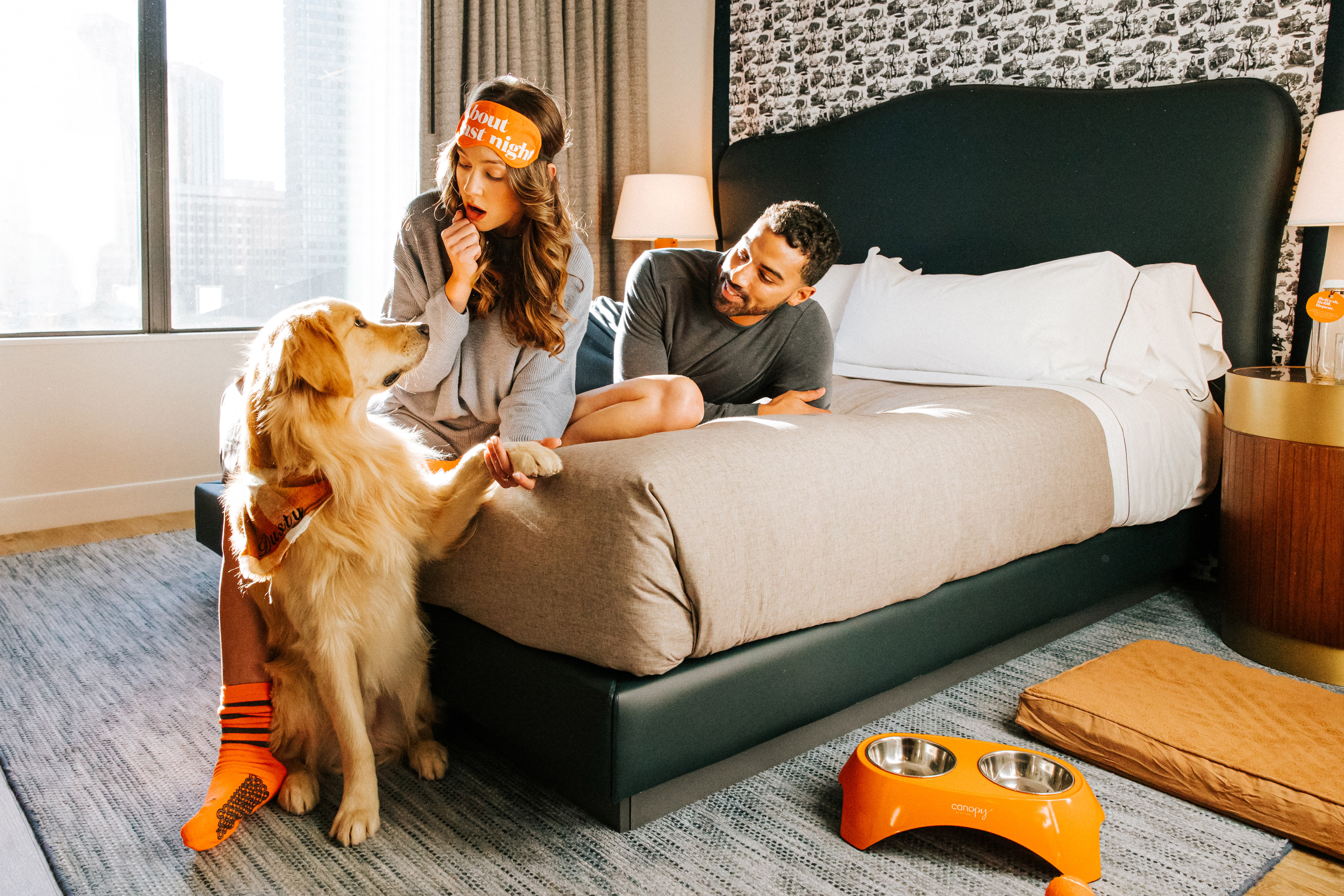 Pet-Friendly Hotels - Book Top Dog & Cat-Friendly Hotels with Hilton