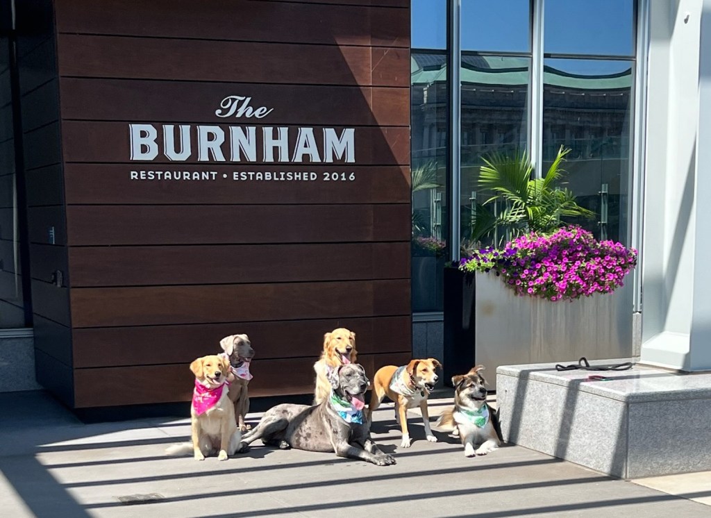A group of dogs sitting outside Hilton Cleveland Downtown - The Burnham Restaurant Outdoor Patio