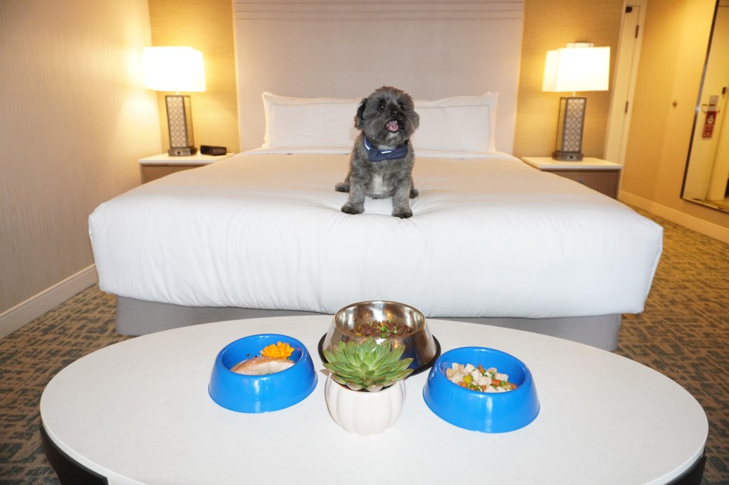 Hilton Santa Barbara Beachfront Resort - Doggone VIP Pet Menu