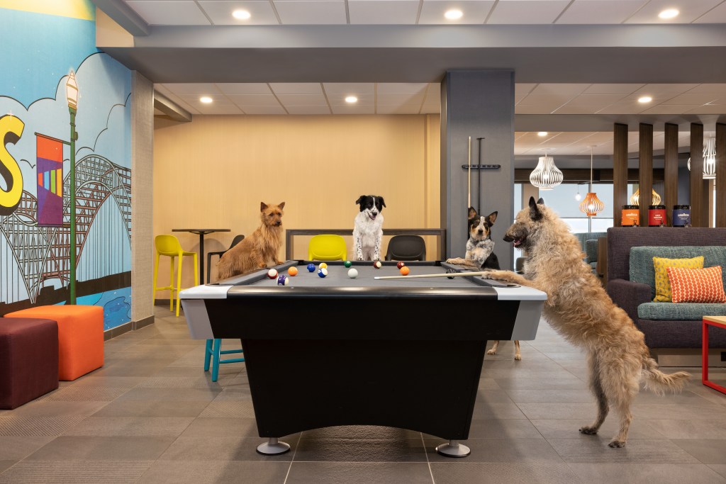 Dogs playing pool in a room Tru by Hilton Ocean City Bayside - Pets at Pool Table