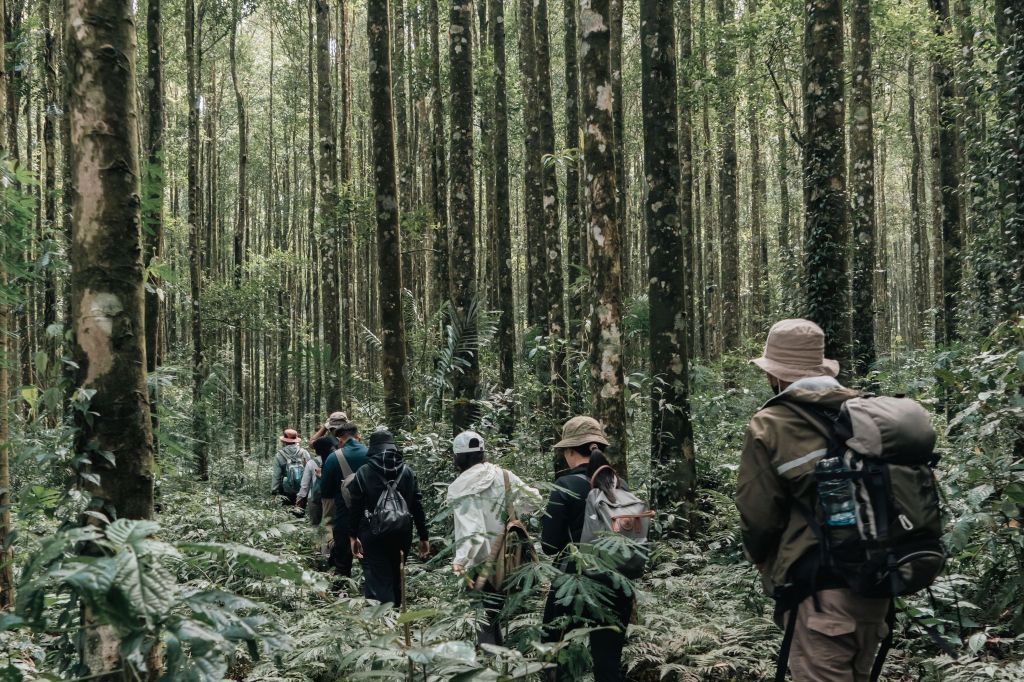 Conrad Bali - Forest Bathing