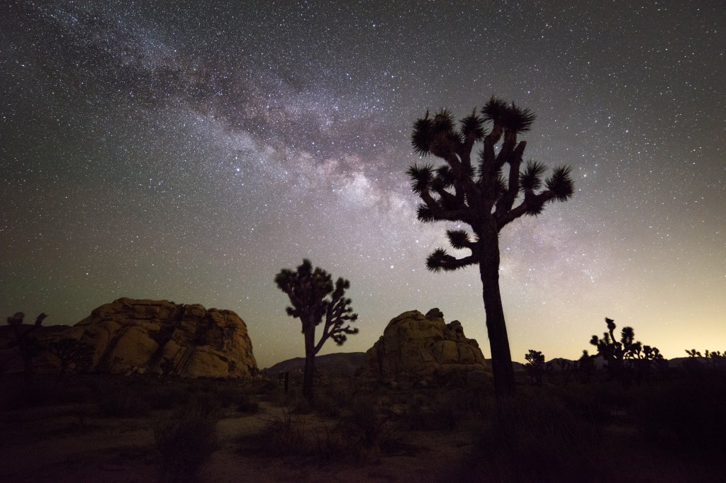 Milky,Way,Galaxy,At,Night,In,Joshua,Tree,National,Park,