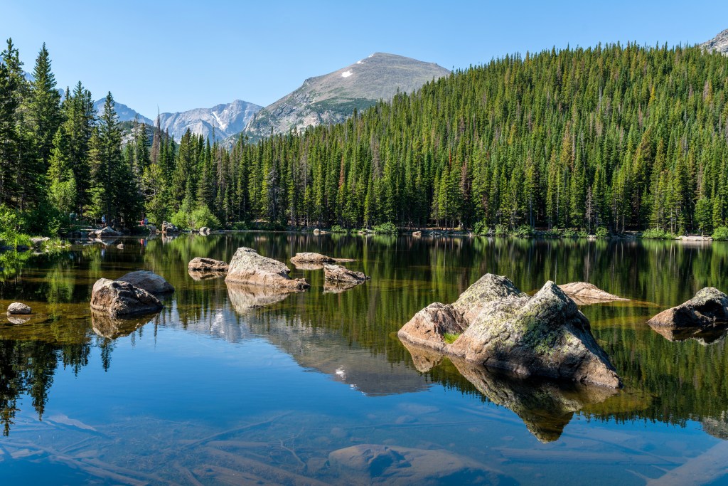 Bear,Lake,-,A,Sunny,Summer,Morning,View,Of,A