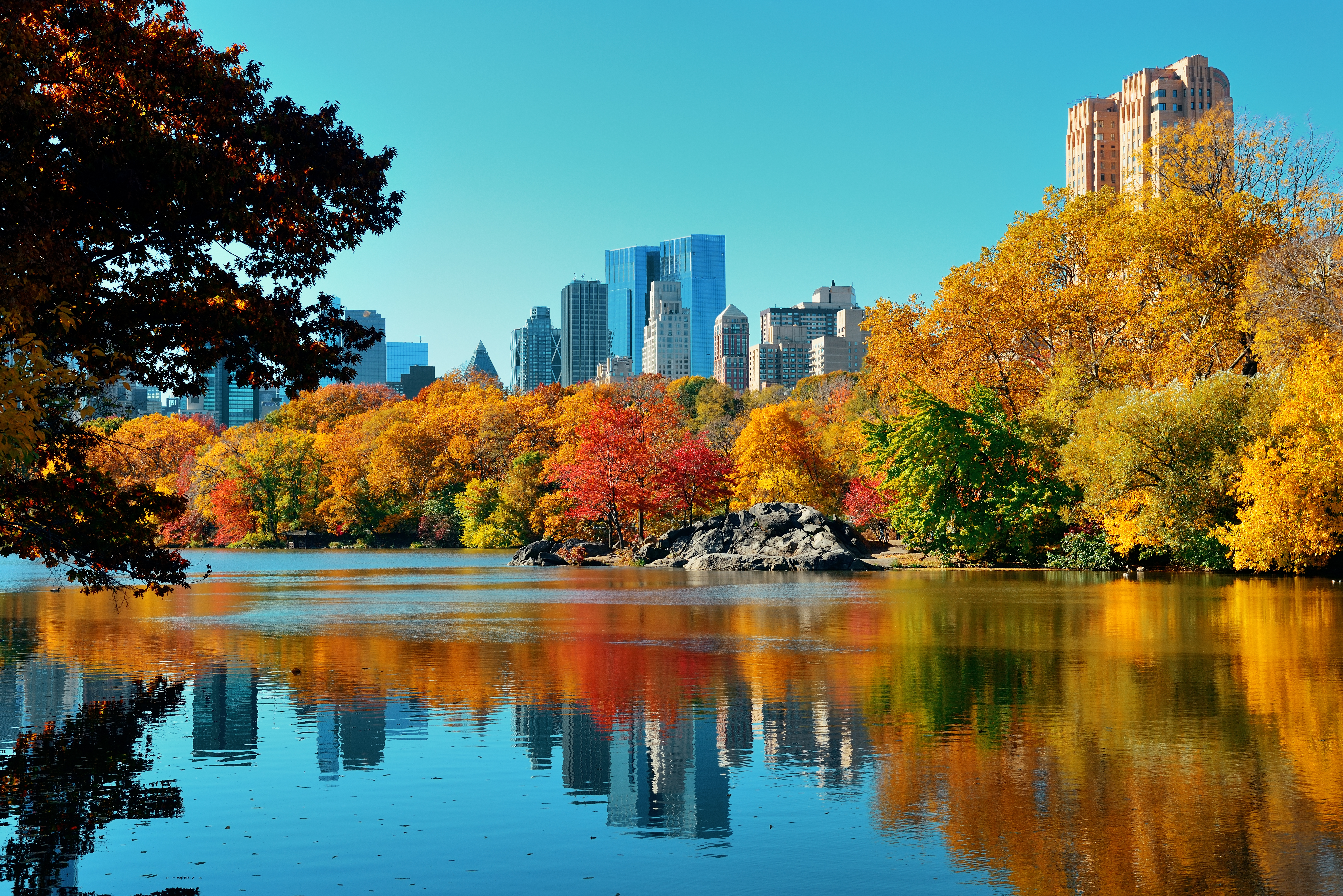 Central,Park,Autumn,And,Buildings,Reflection,In,Midtown,Manhattan,New