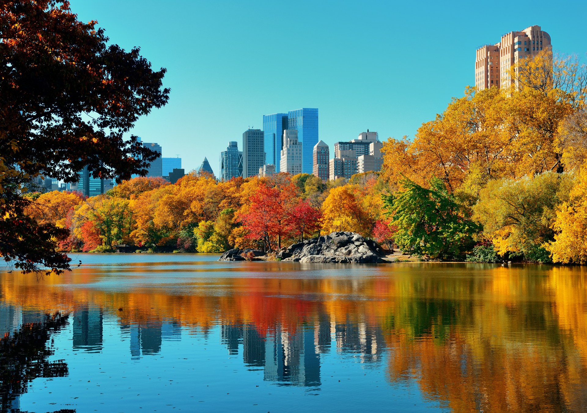 Central,Park,Autumn,And,Buildings,Reflection,In,Midtown,Manhattan,New