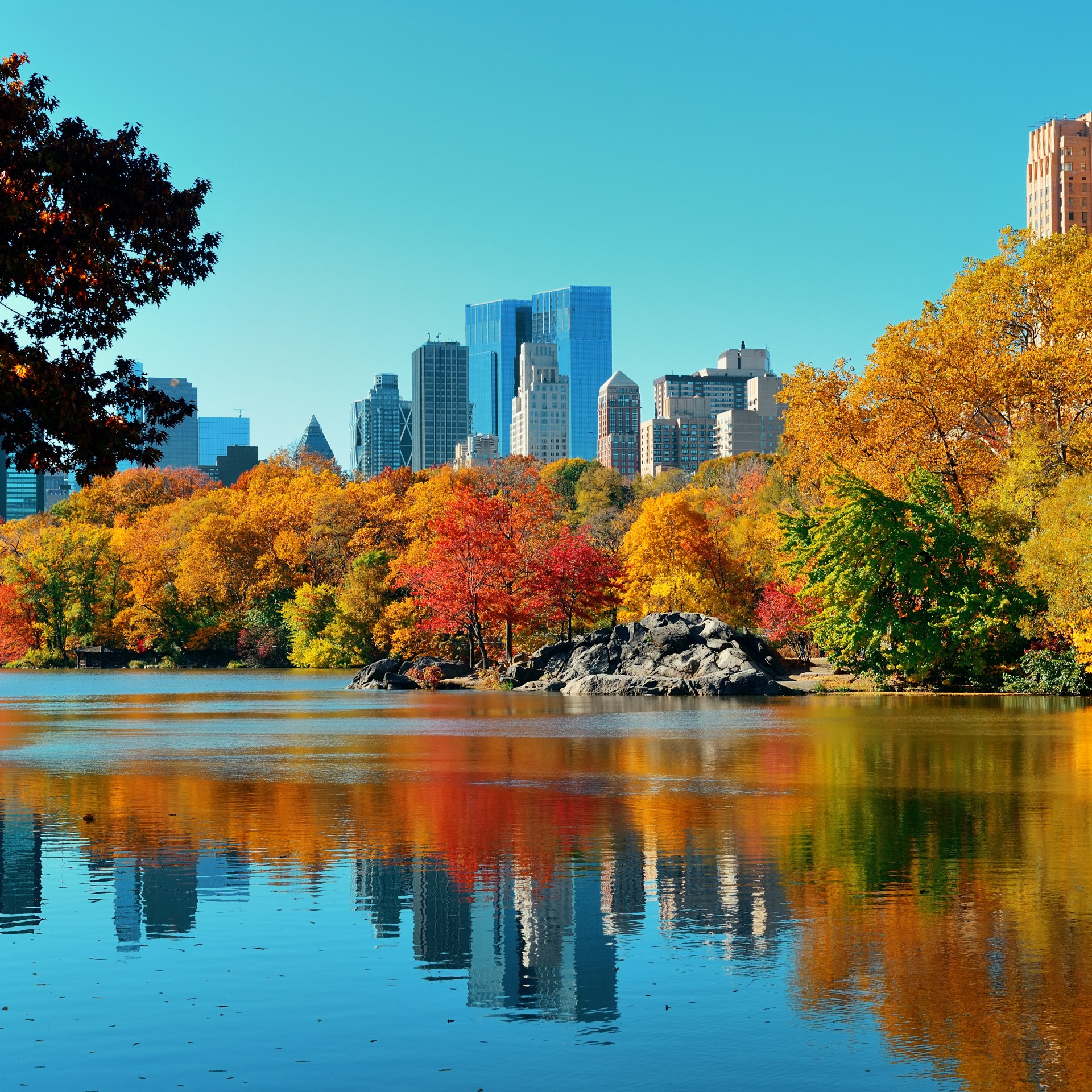 Central,Park,Autumn,And,Buildings,Reflection,In,Midtown,Manhattan,New