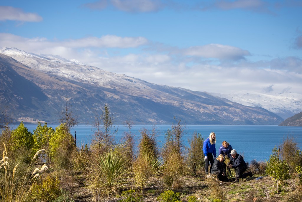 Whakatipu Reforestation Trust