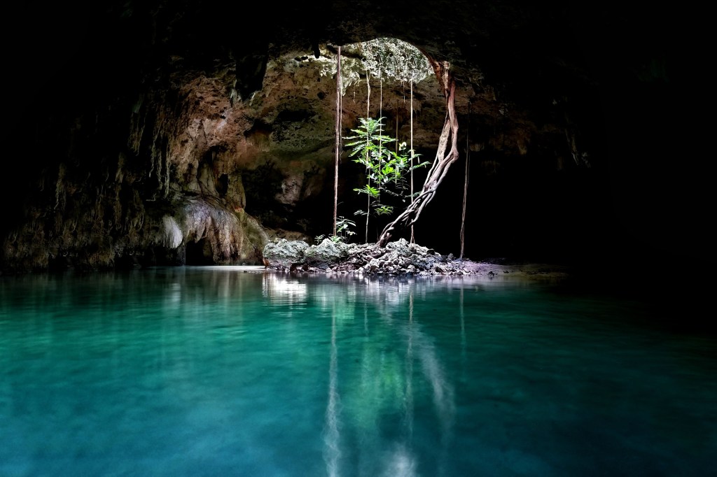 Cenote in Tulum - Photo Credit: Wirestock Creators/Shutterstock