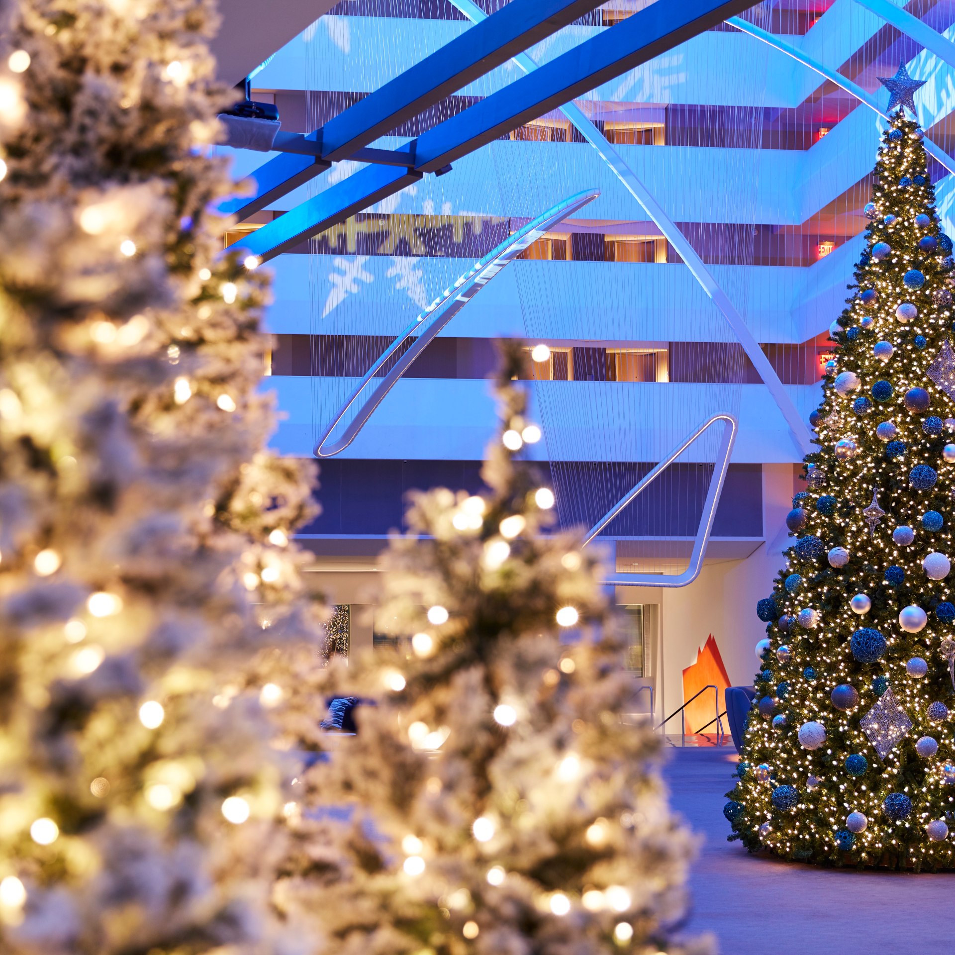 Conrad New York Downtown - Christmas Tree - Photo Credit Mark Weinberg