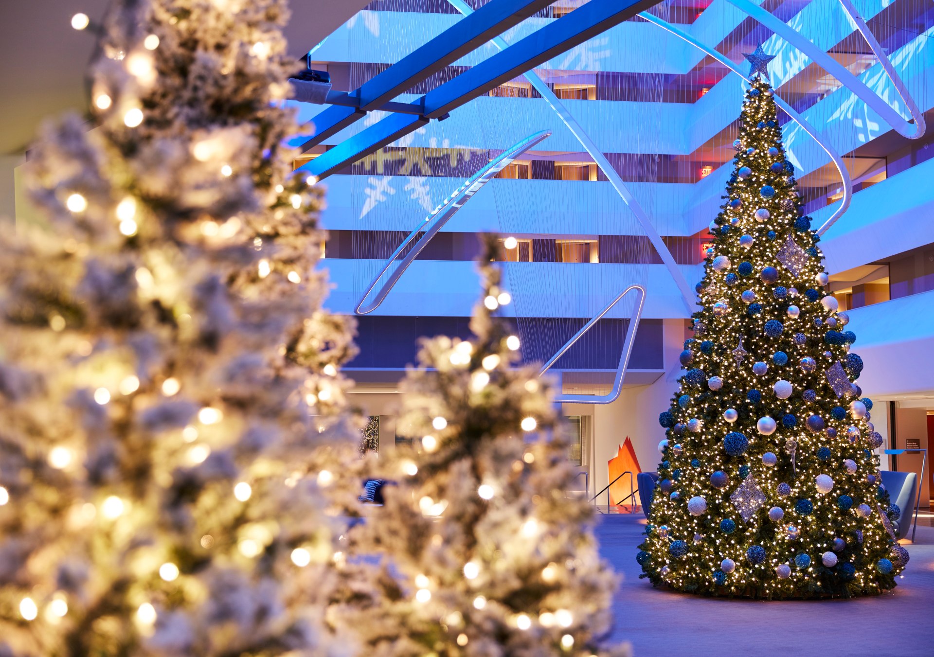 Conrad New York Downtown - Christmas Tree - Photo Credit Mark Weinberg