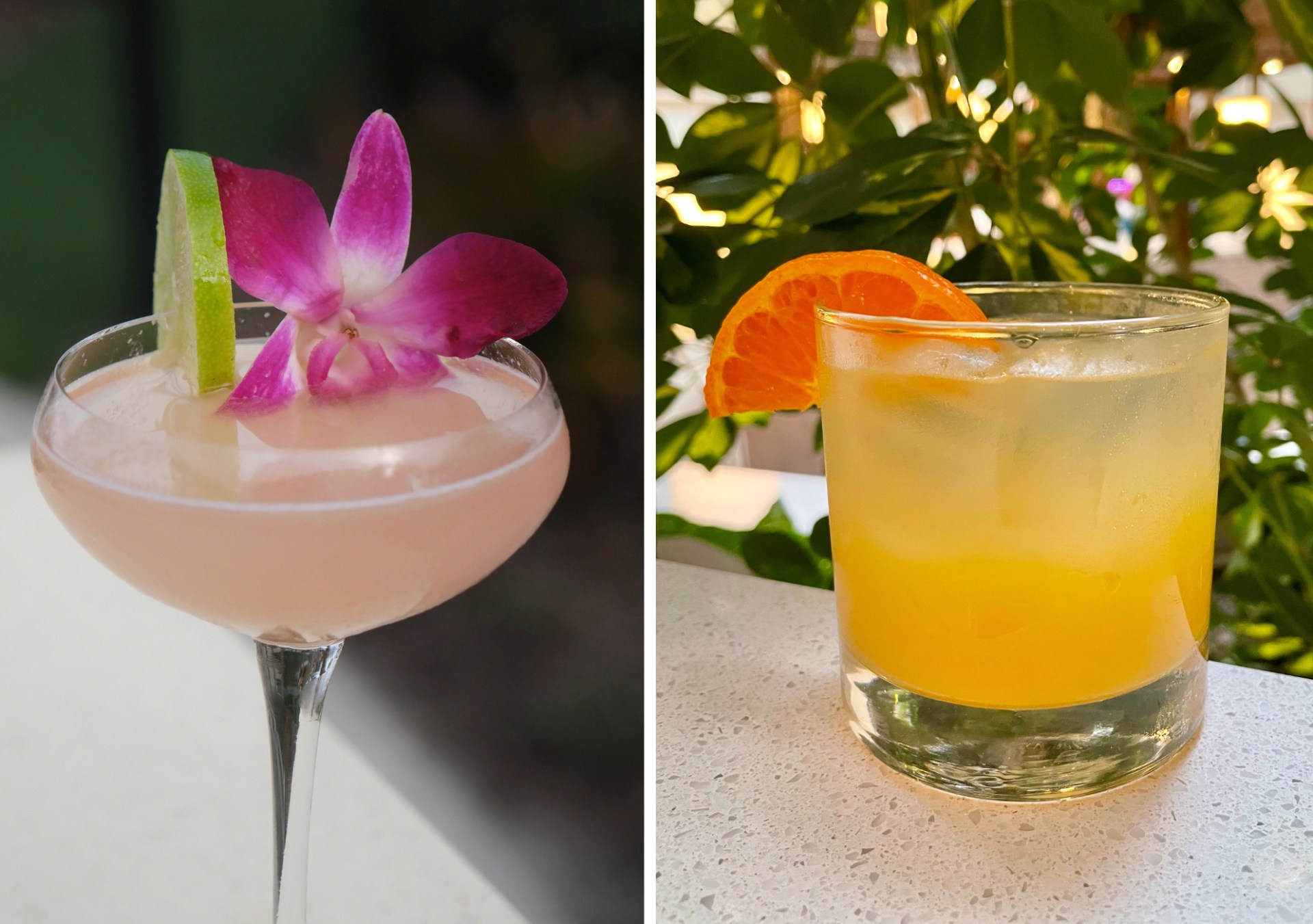 Embassy Suites by Hilton - 40th Anniversary Beverages La Flor and Noquila Fizz