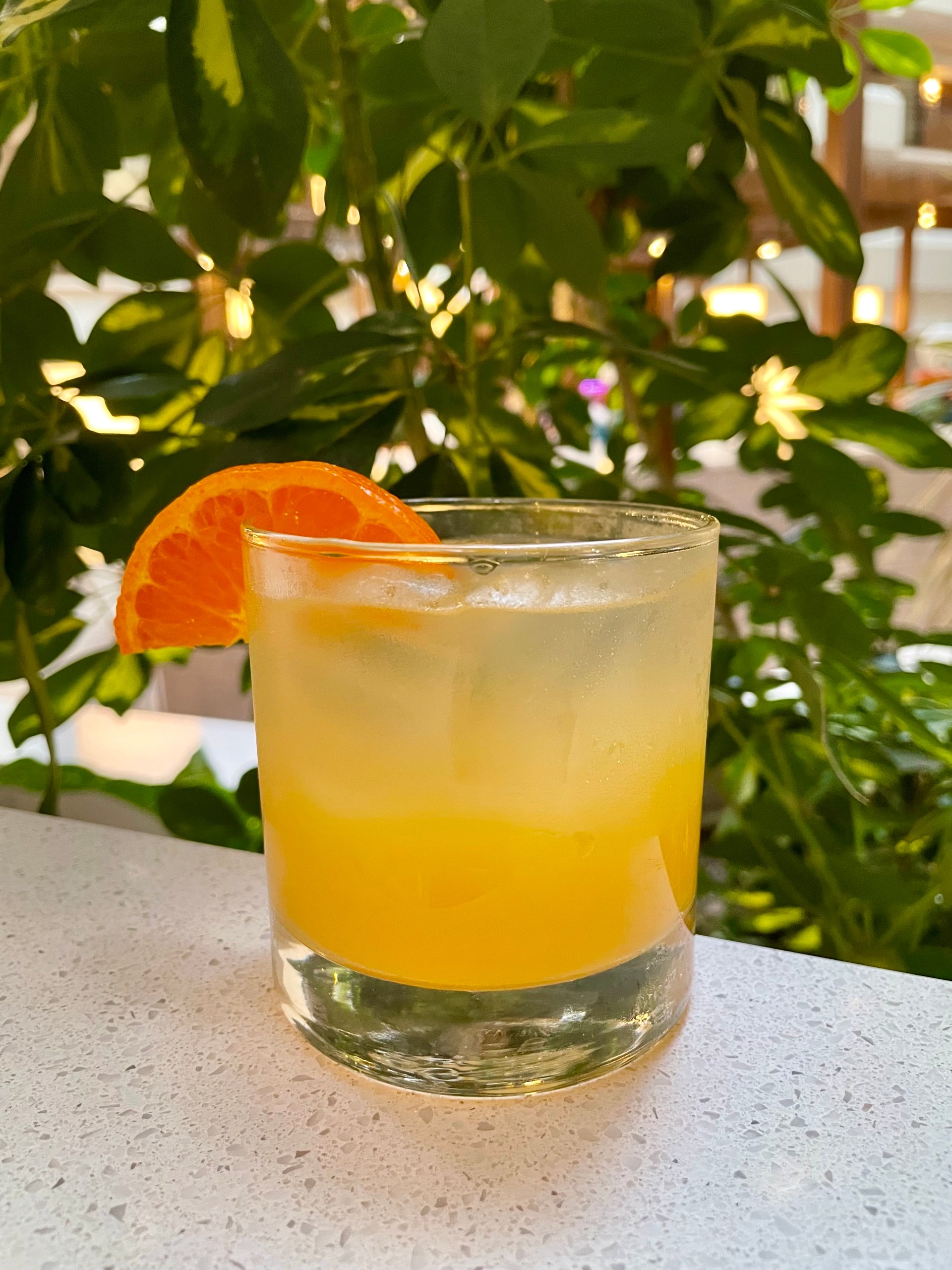 Embassy Suites by Hilton - 40th Anniversary Beverage - Noquila Fizz
