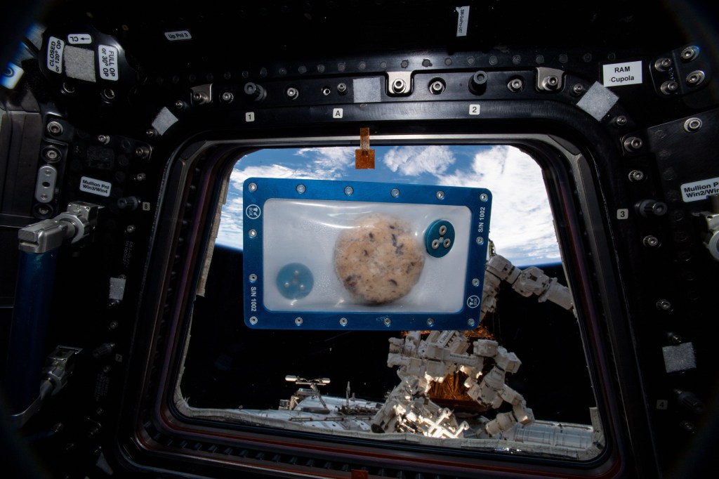 Sealed DoubleTree Cookie in Space - Courtesy: NASA