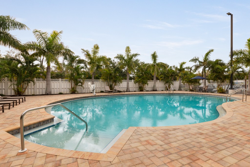 outdoor pool and palm trees at Spark by Hilton Sarasota Siesta Key Gateway