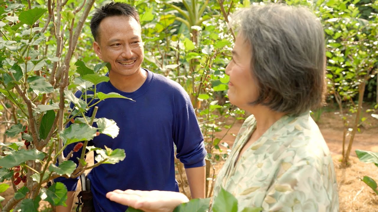 Explore On‑Site Farm at Conrad Koh Samui | Stories From Hilton