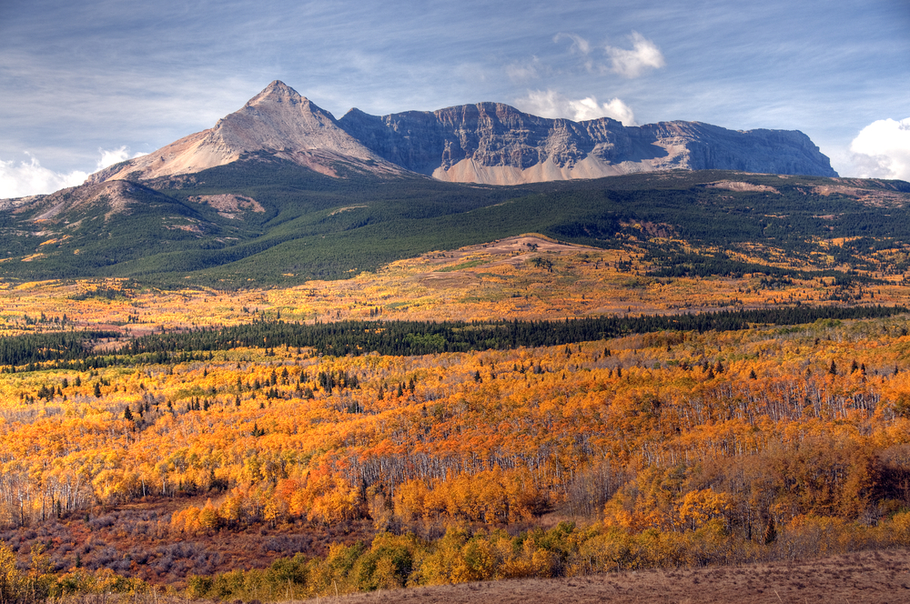 Autumn,Colors,In,Glacier,National,Park,,Montana,,America