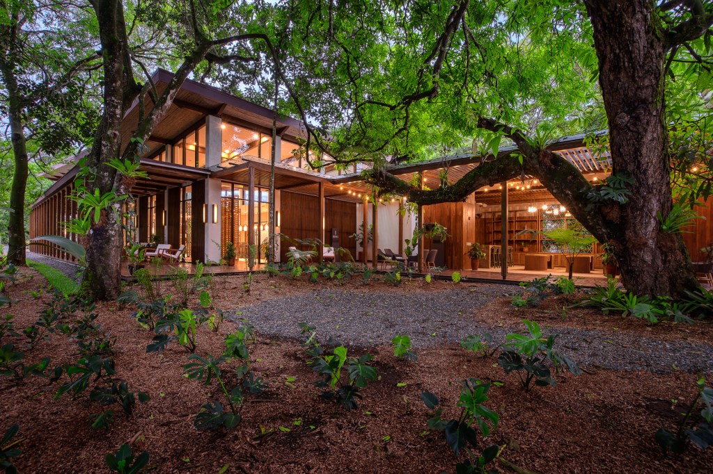 Botánika Osa Peninsula, Curio Collection by Hilton, Clubhouse Exterior, trees, monstera, outdoor seating