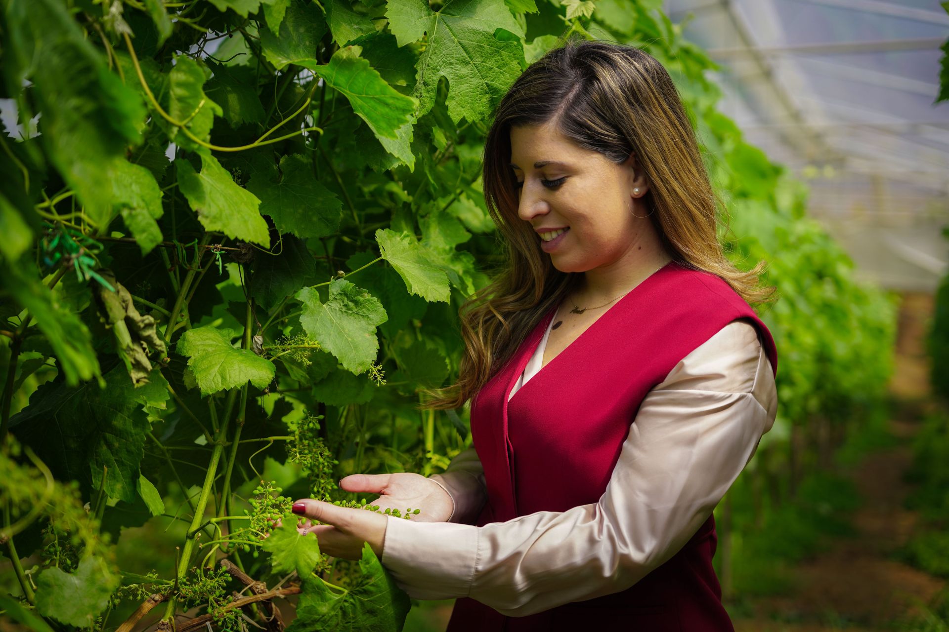 Ana Martinez, Food and Beverage director, Waldorf Astoria Costa Rica Punta Cacique, grape vines