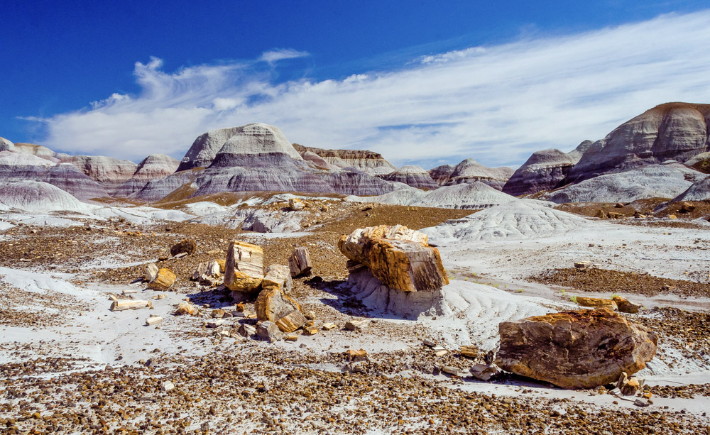 Petrified Forest National Park