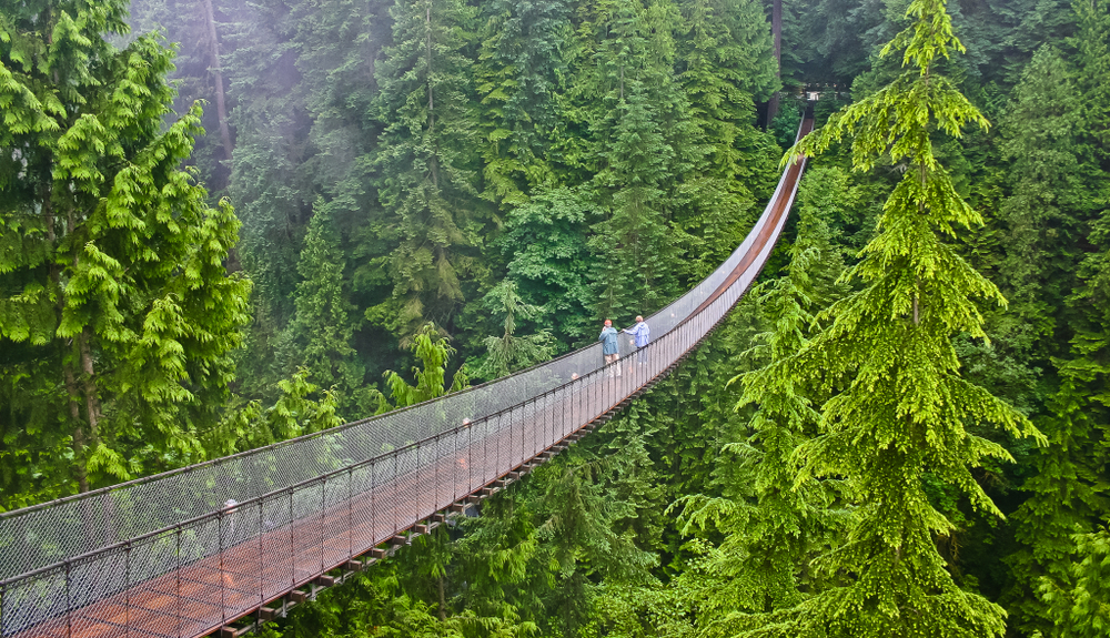 Areial View Of Capilano Suspension Bridge Vancouver Canada