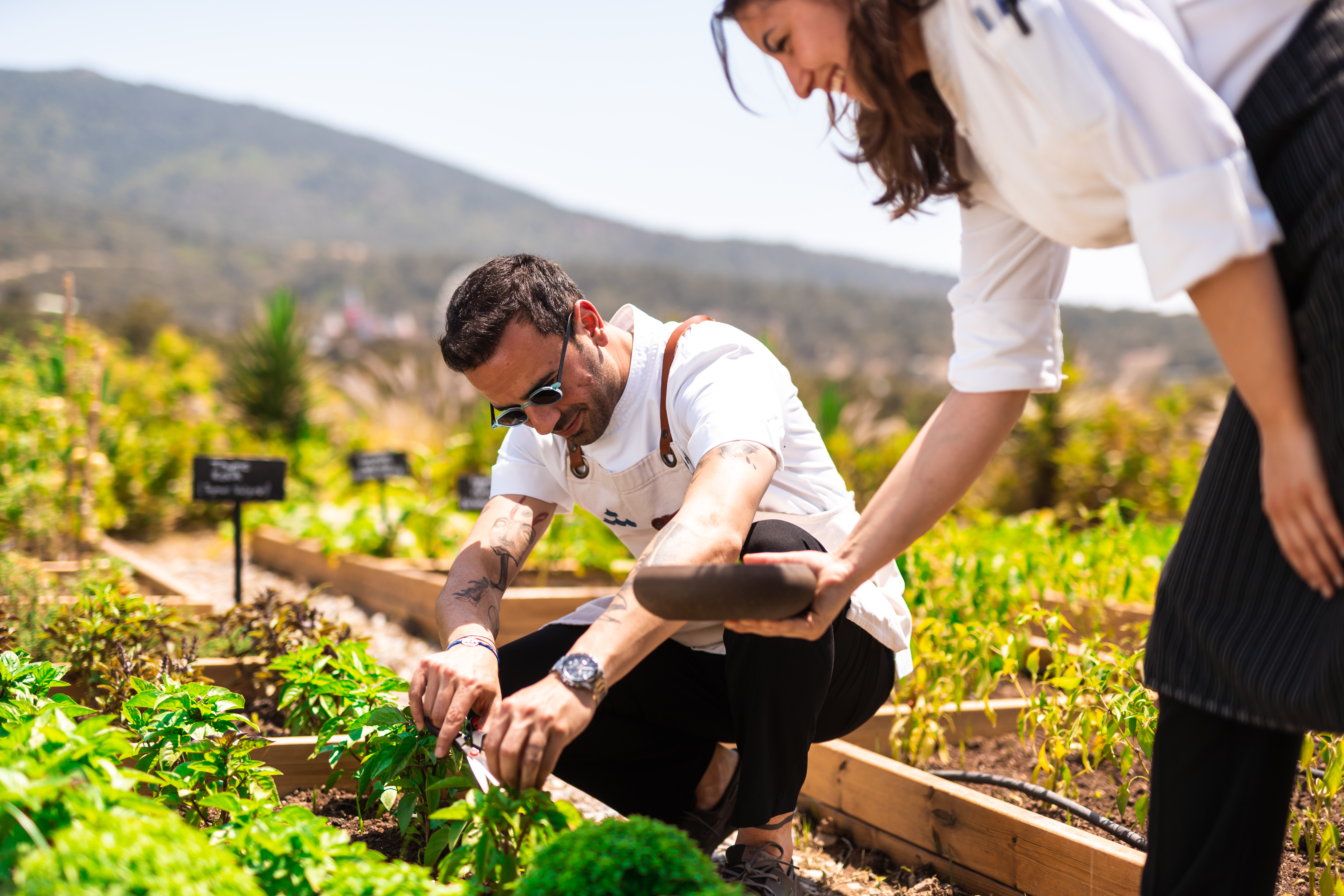 Hilton & Hilton Global Foundation Open Doors of Opportunity for People, Deliver Sustainable Stays and Support Resilient Communities to Advance 2030 Travel with Purpose Goals