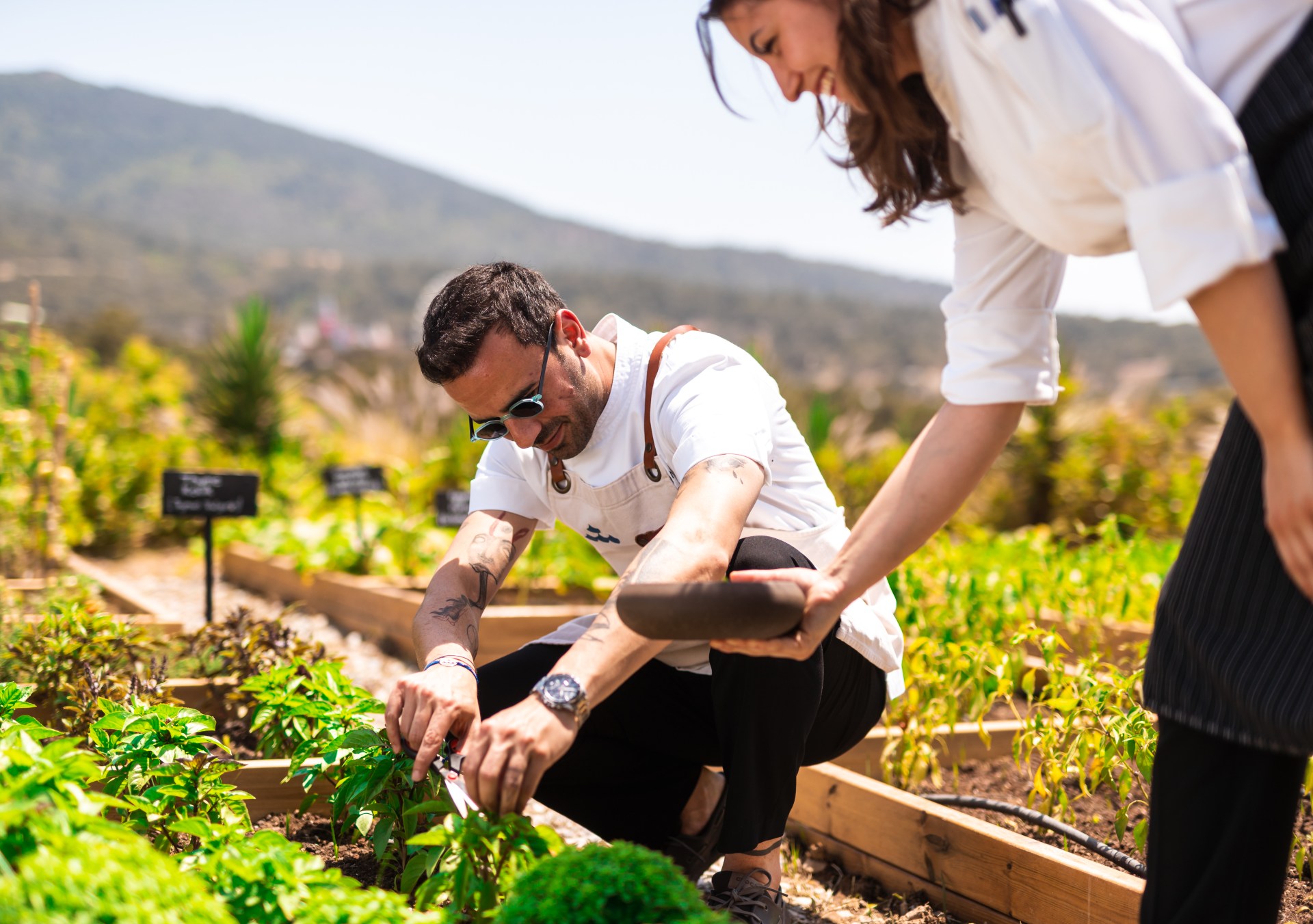 Susona Bodrum Turkiye LXR Hotels & Resorts 2024