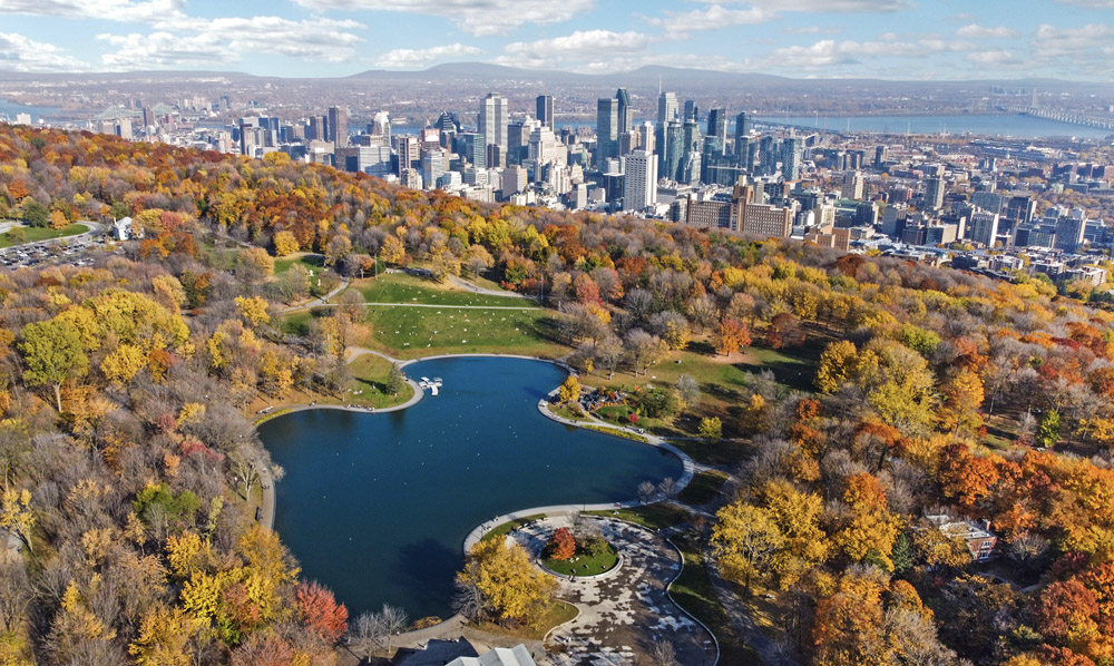 Aerial view of Mont-Royal Park with colorful fall foliage and the Montreal skyline, highlighting Quebec’s natural beauty in autumn.